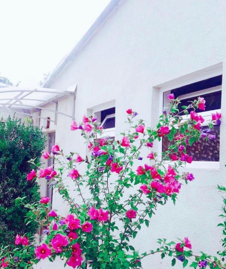 Green Garden B&B 迪利然 外观 照片