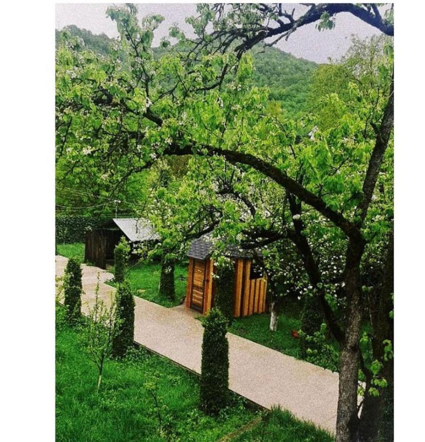 Green Garden B&B 迪利然 外观 照片