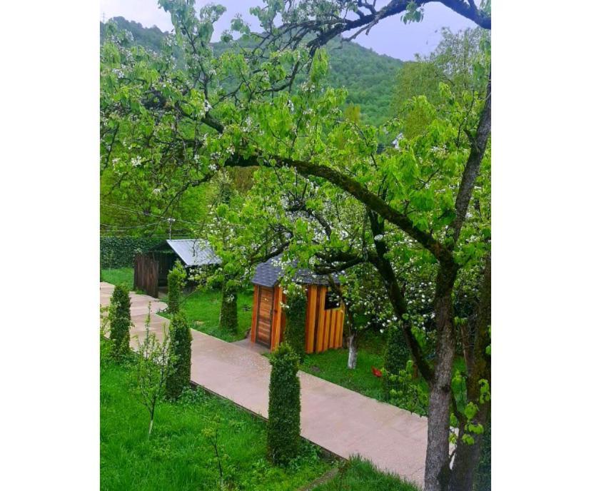 Green Garden B&B 迪利然 外观 照片