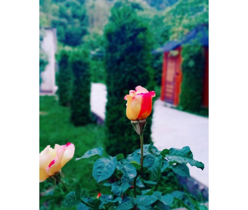 Green Garden B&B 迪利然 外观 照片