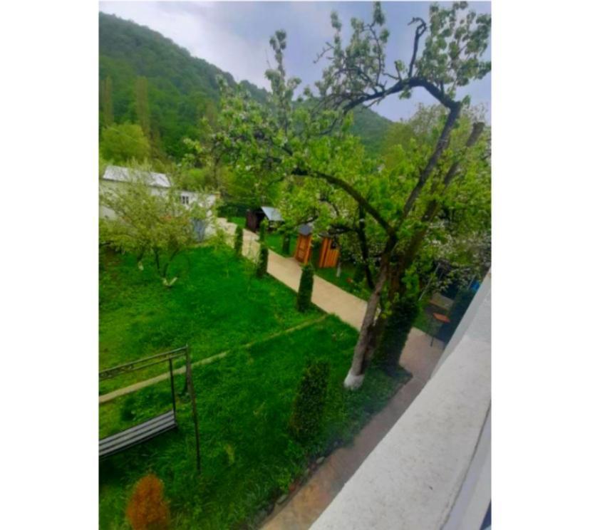 Green Garden B&B 迪利然 外观 照片