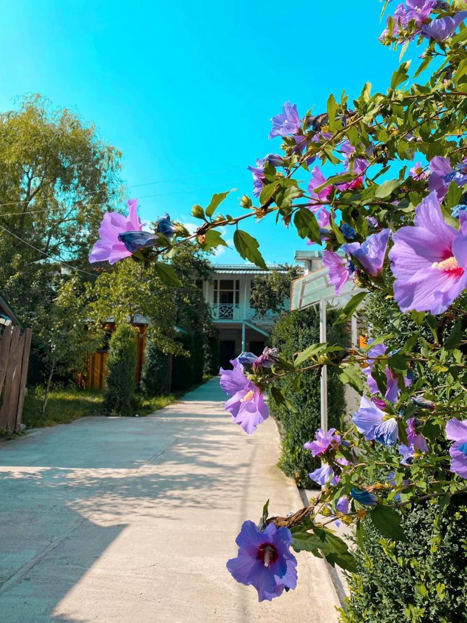 Green Garden B&B 迪利然 外观 照片