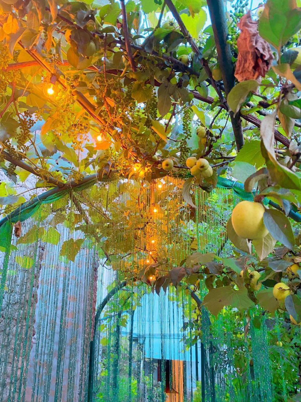 Green Garden B&B 迪利然 外观 照片