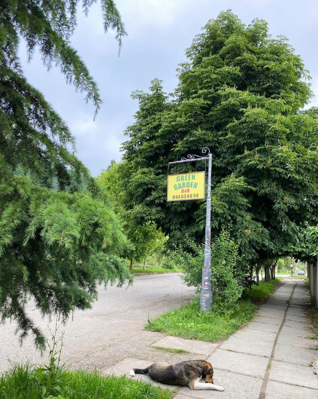 Green Garden B&B 迪利然 外观 照片